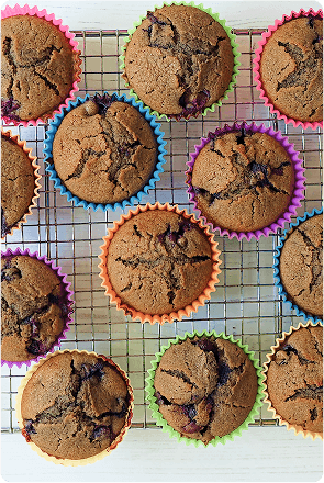 Blueberry Muffin Recipe